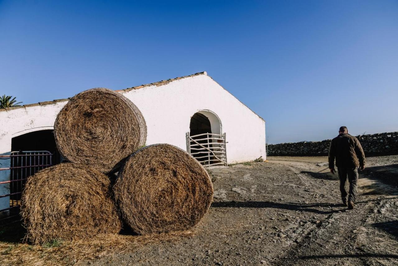 Casa Rural Bini Aumaia Ес Меркадал Екстериор снимка