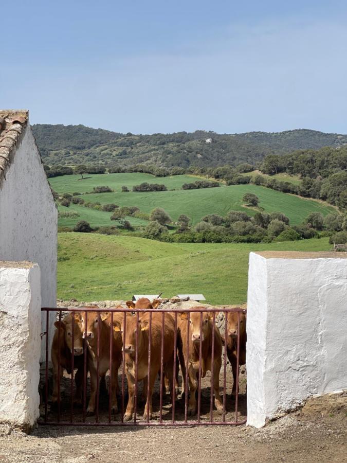 Casa Rural Bini Aumaia Ес Меркадал Екстериор снимка
